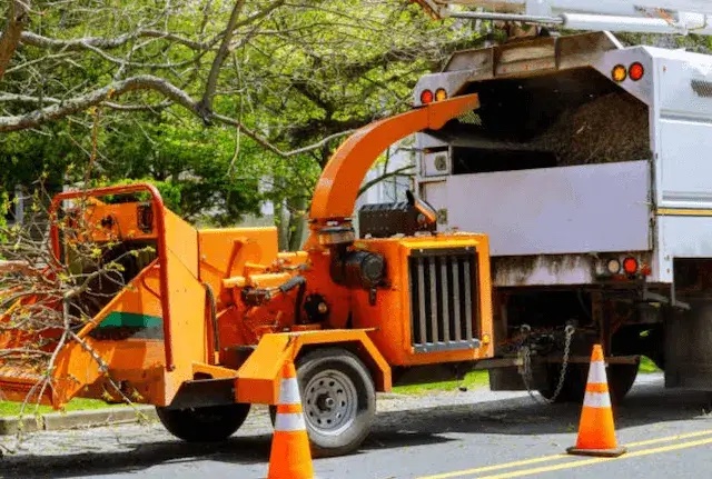 tree removal East Palo Alto ca
