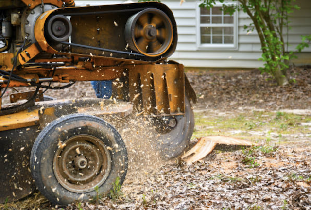 stump grinding East Palo Alto ca